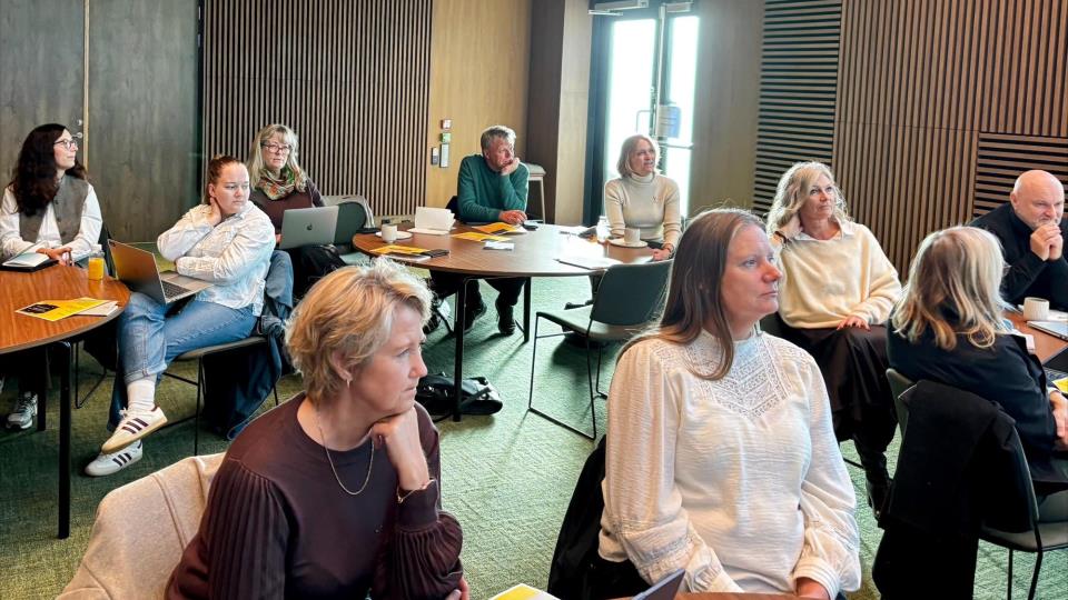 Lenke til artikkel: Kompetansespagaten: fra innsikt til handling